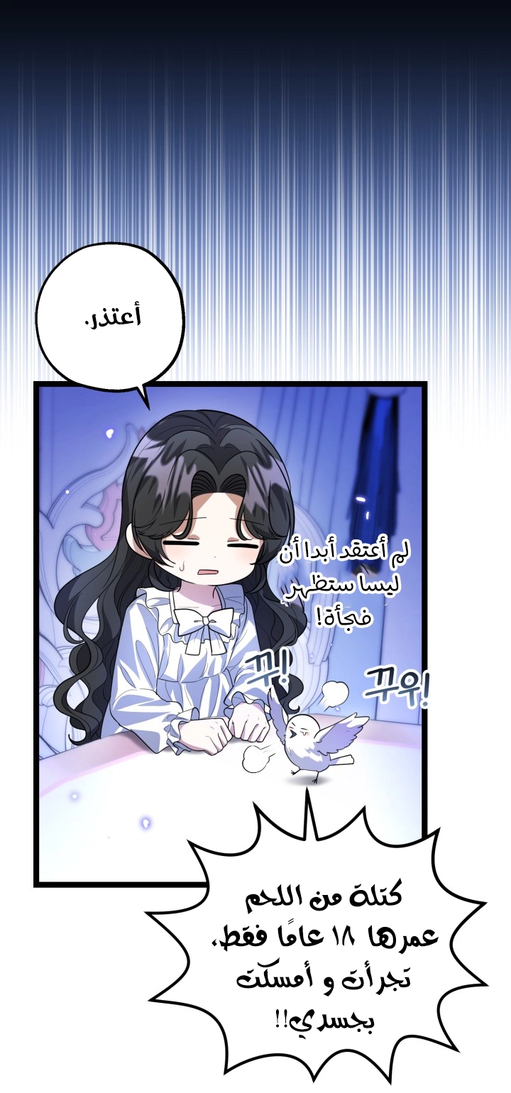 الصفحة 17