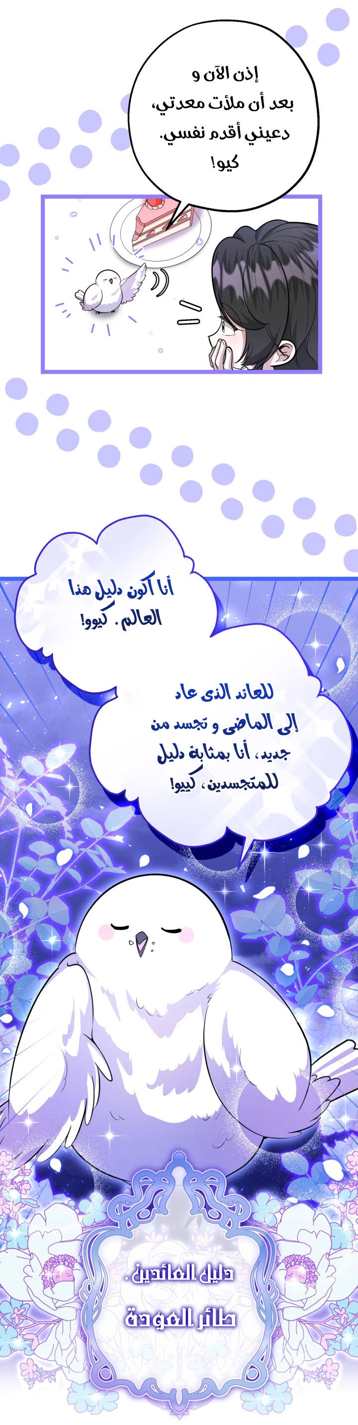 الصفحة 23