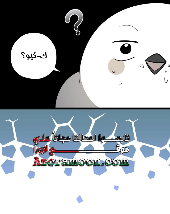 الصفحة 27
