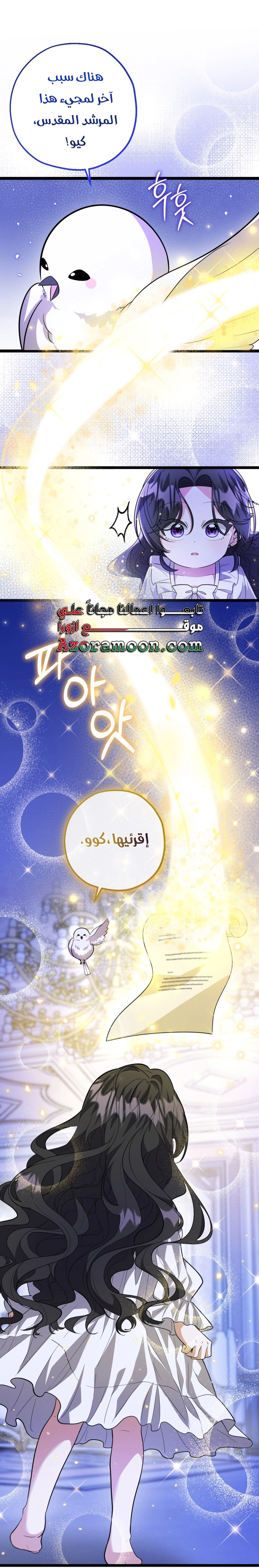 الصفحة 31