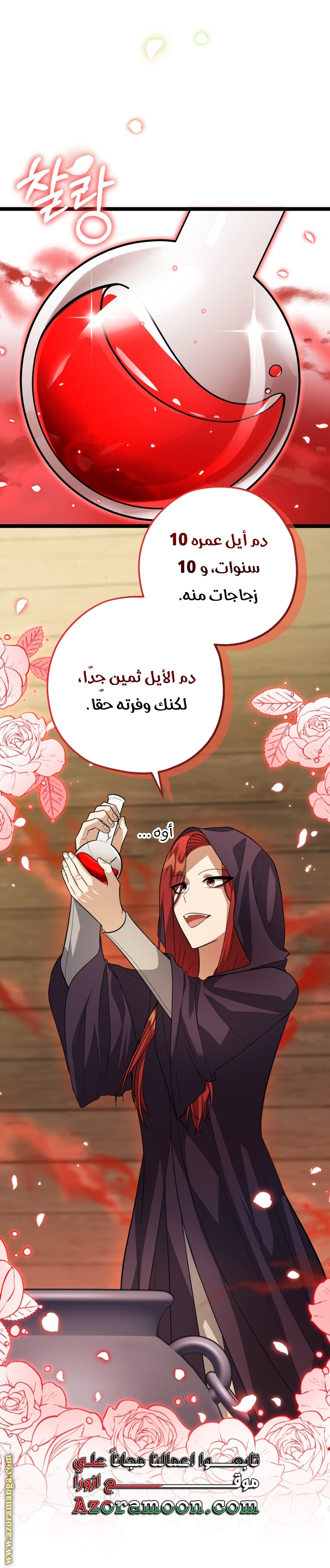 الصفحة 26