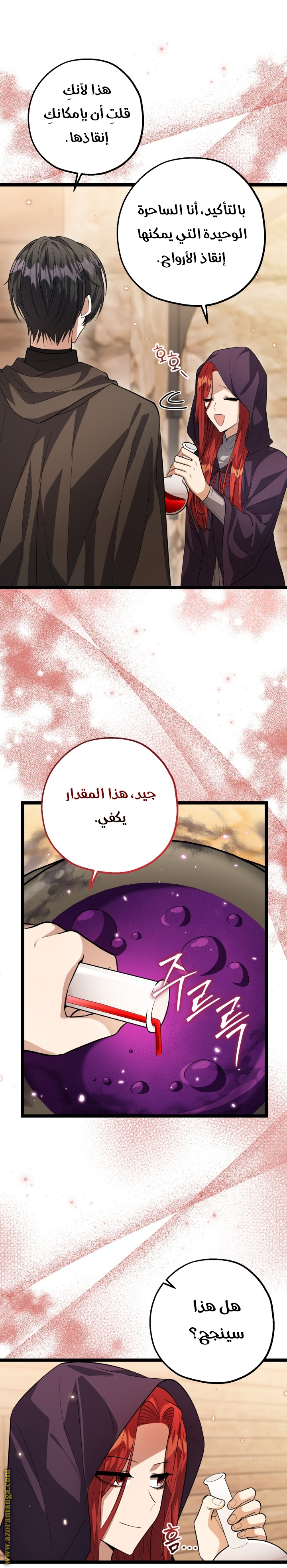 الصفحة 27
