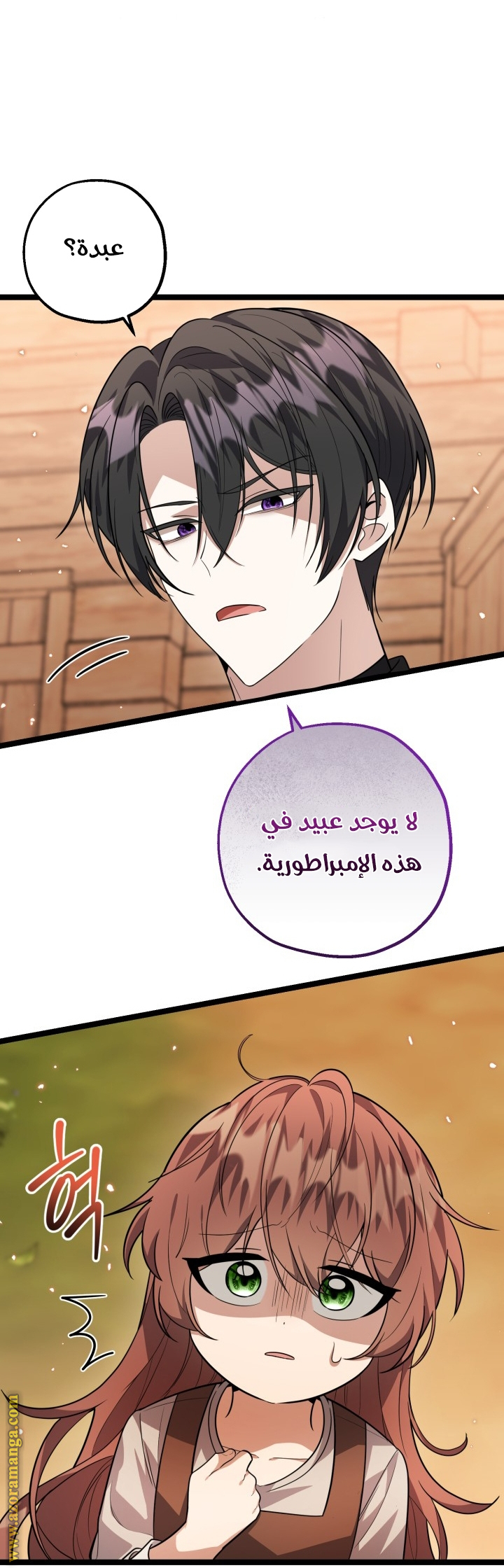 الصفحة 35