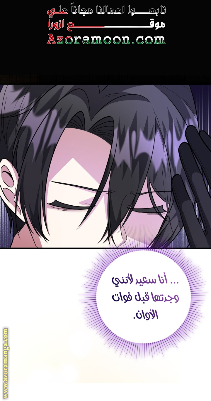 الصفحة 42