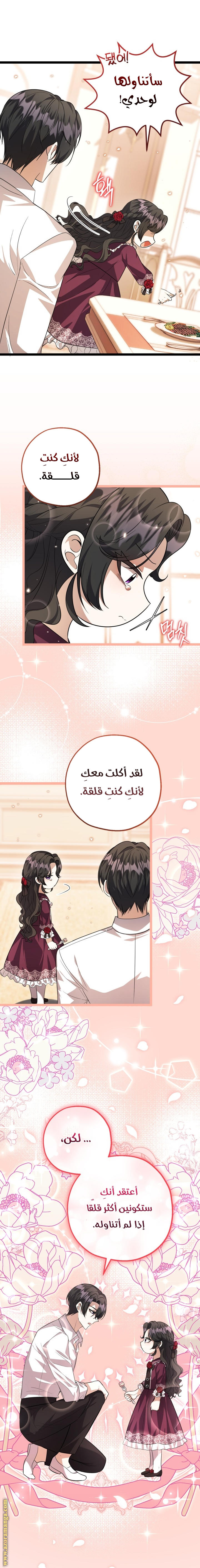 الصفحة 17