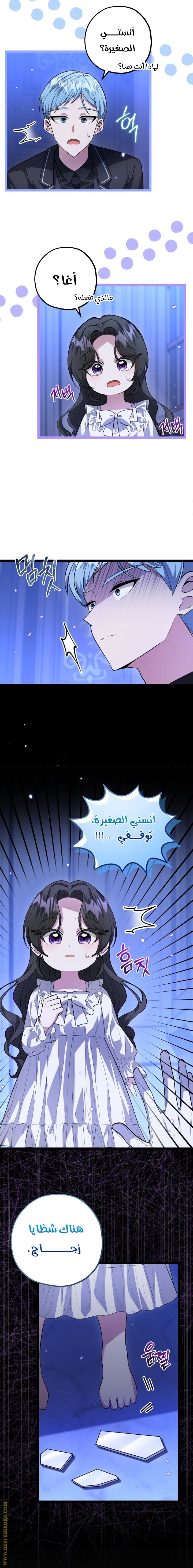 الصفحة 21