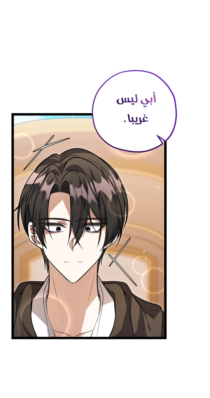 الصفحة 31