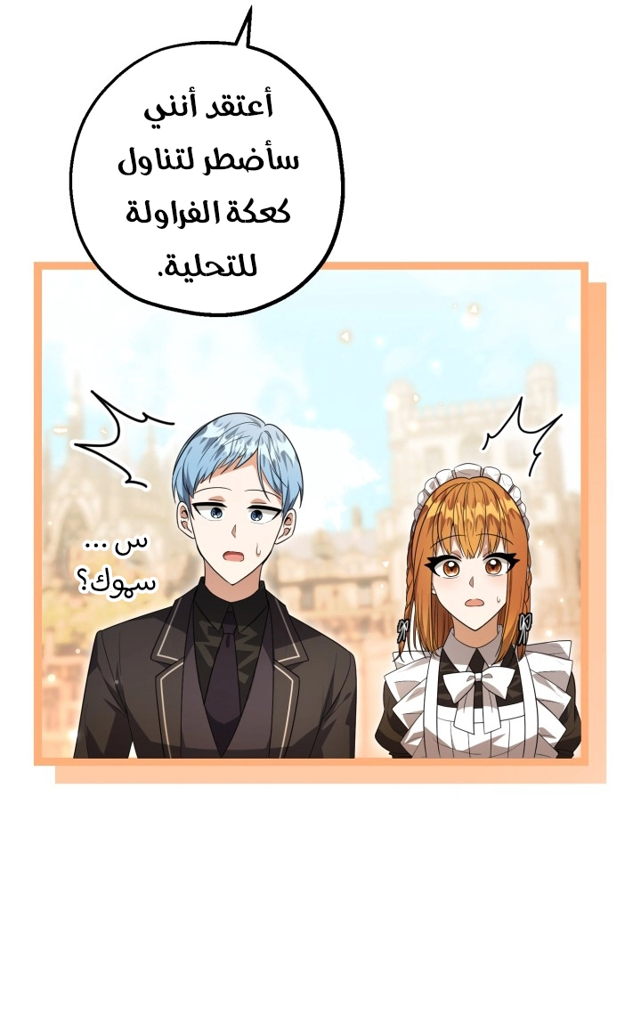 الصفحة 40