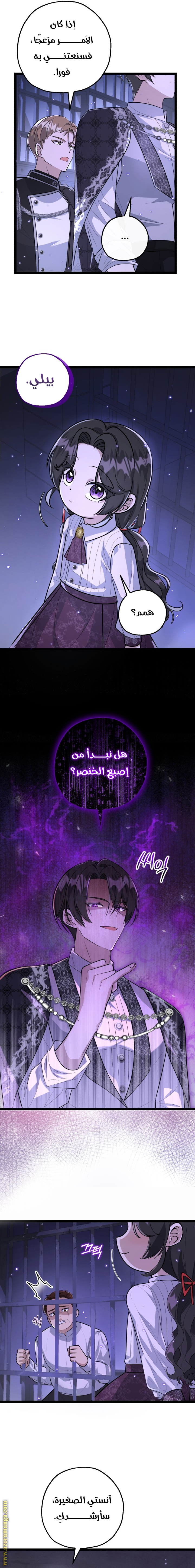 الصفحة 13