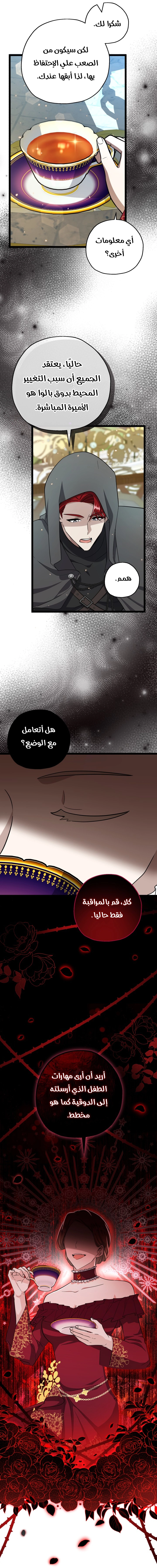 الصفحة 24