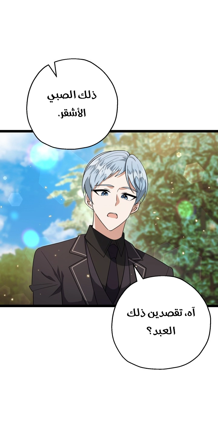 الصفحة 26