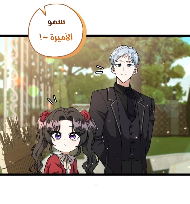 الصفحة 29