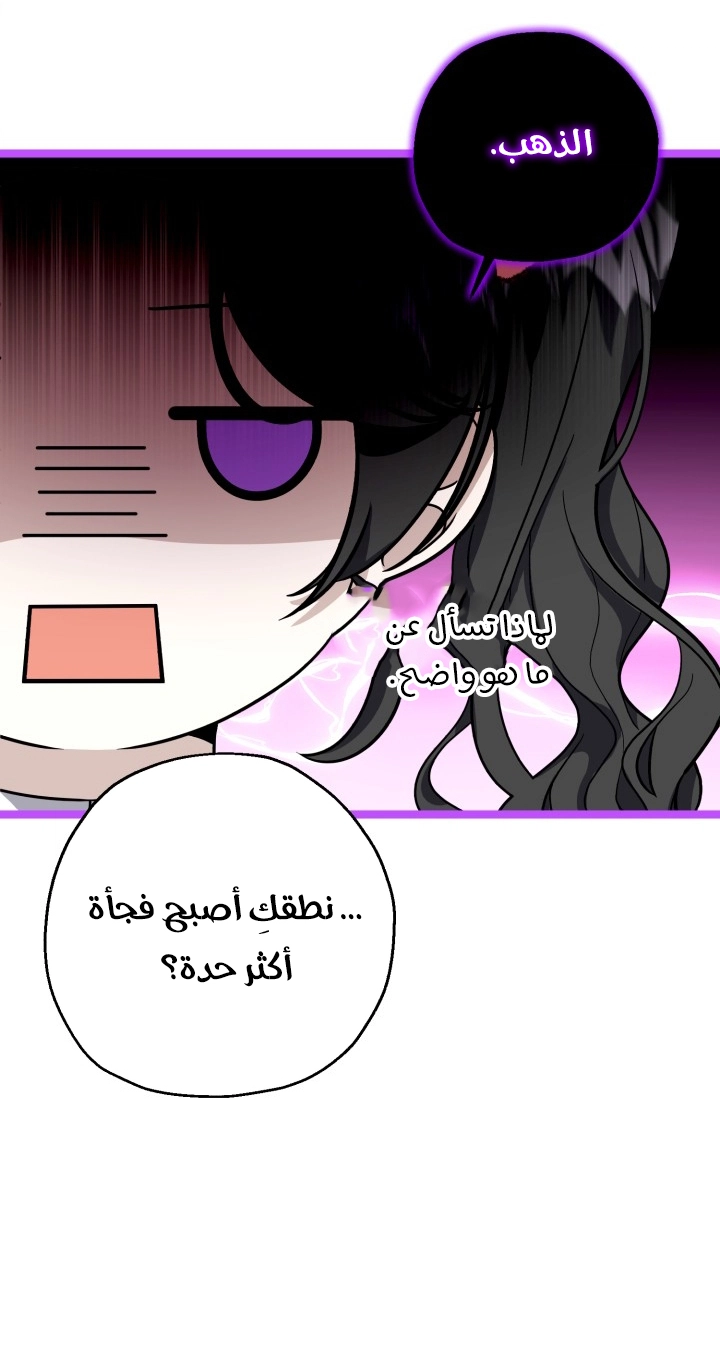 الصفحة 41