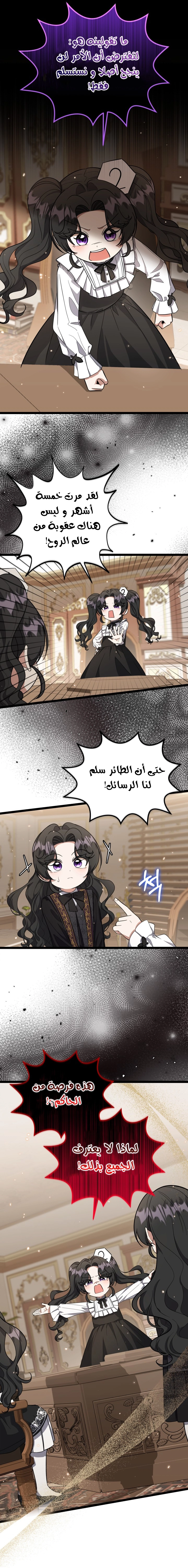 الصفحة 25