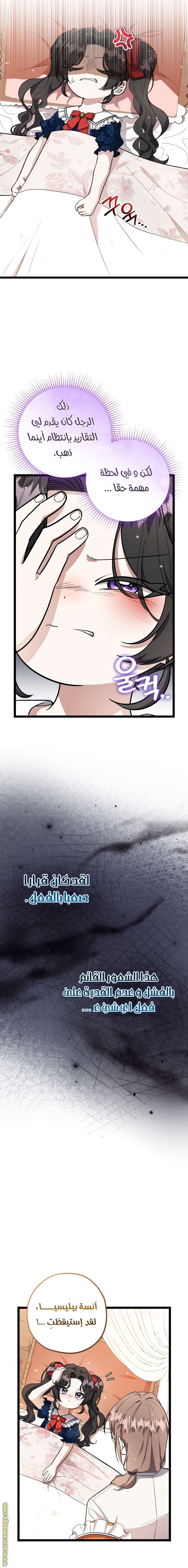 الصفحة 14