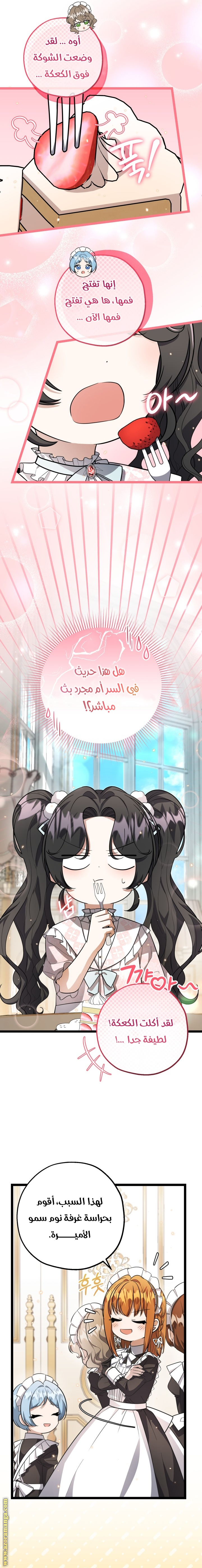 الصفحة 21