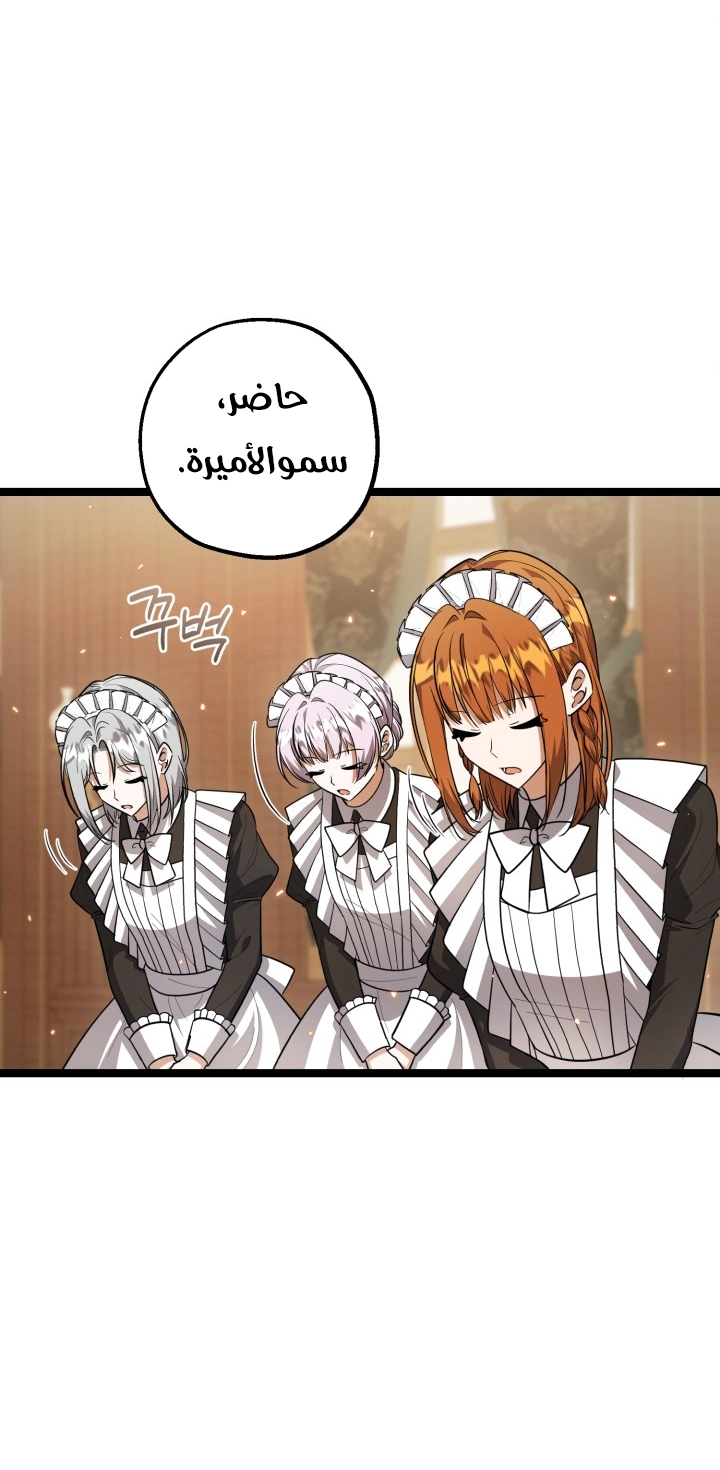 الصفحة 24