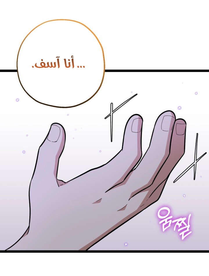 الصفحة 31