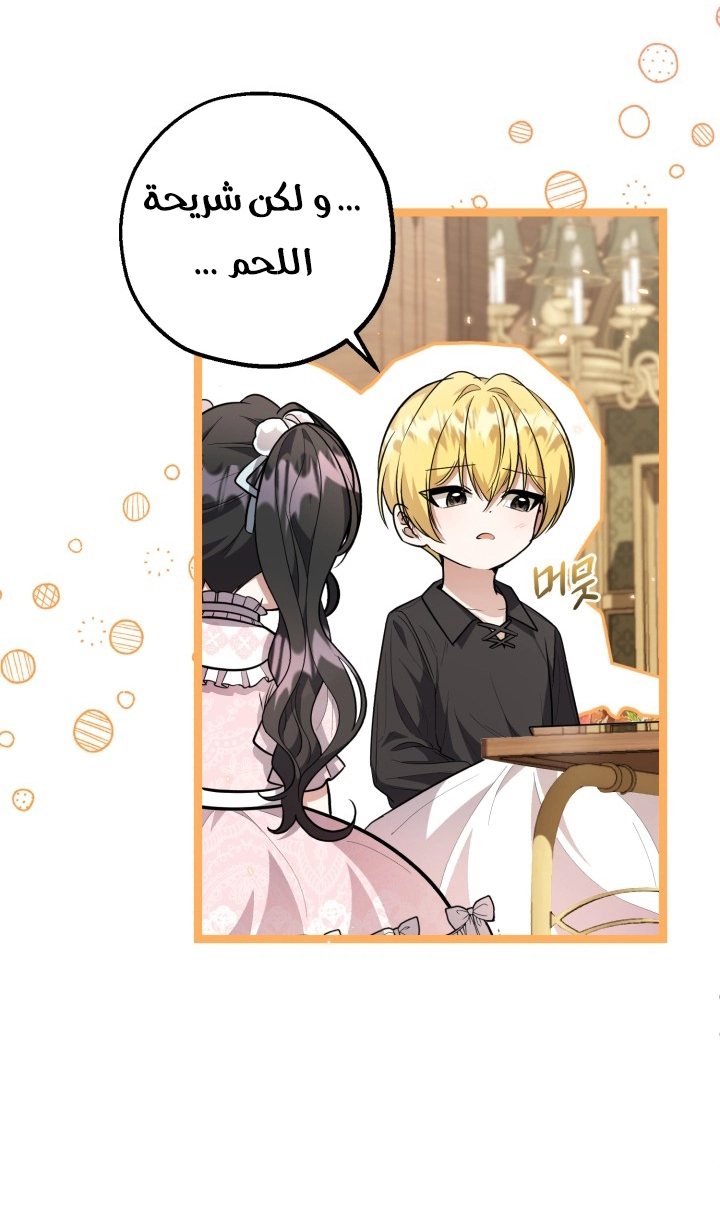 الصفحة 41