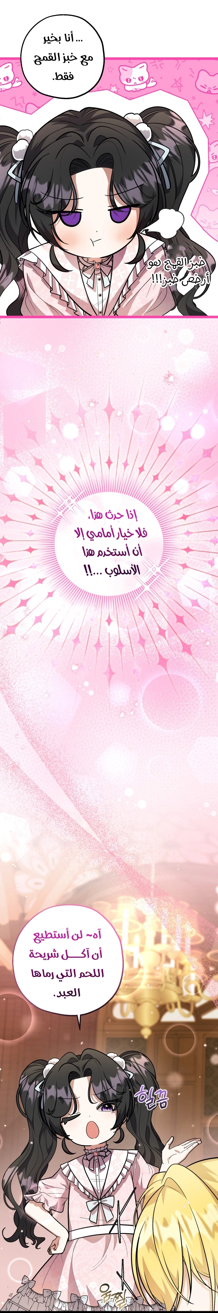 الصفحة 43
