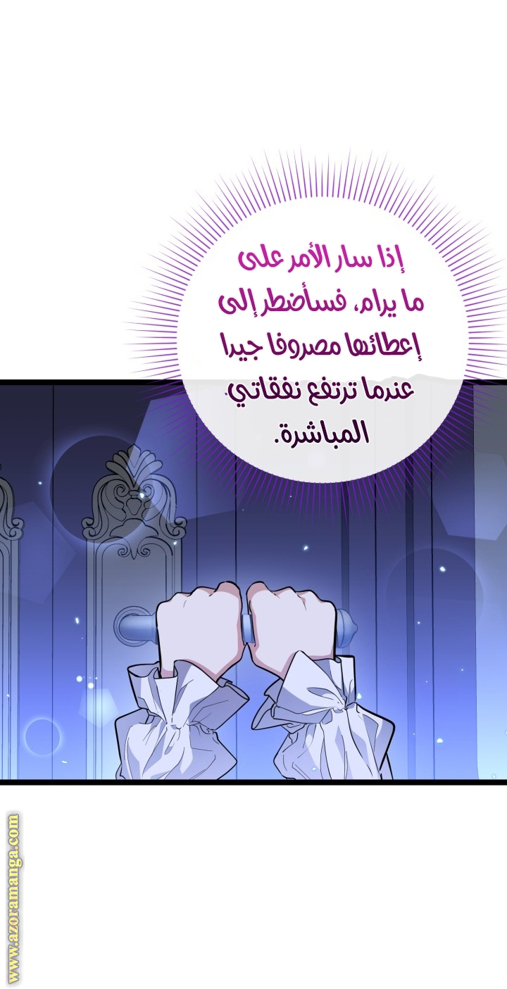 الصفحة 27