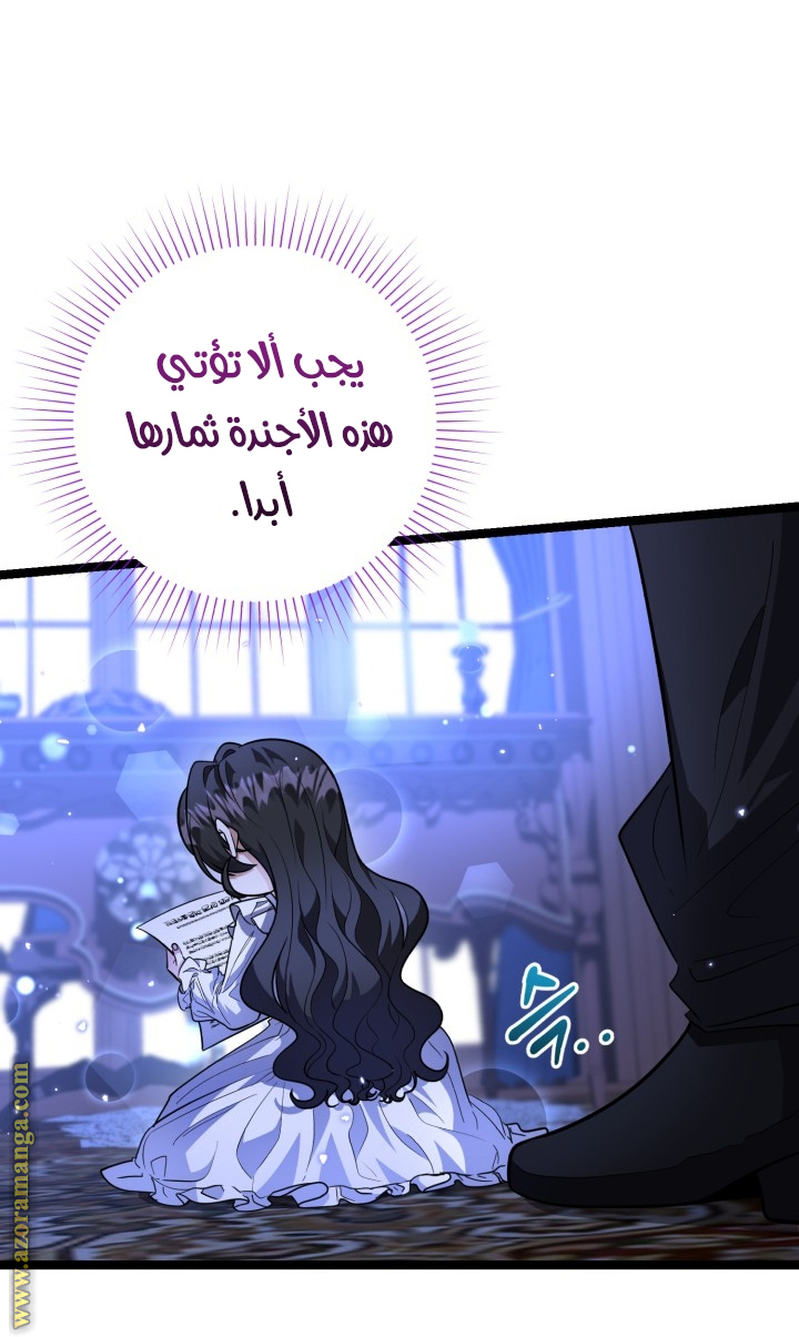 الصفحة 41