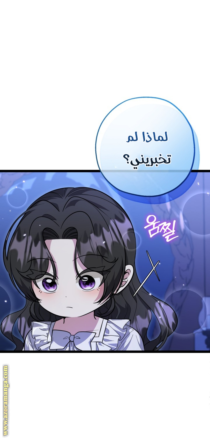 الصفحة 24