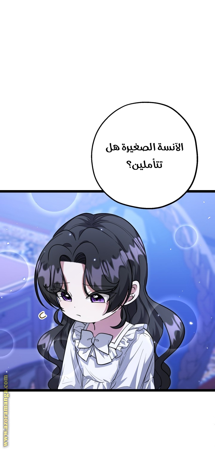 الصفحة 29