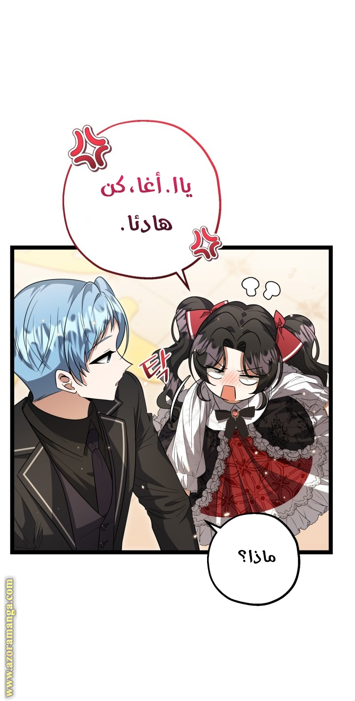 الصفحة 46