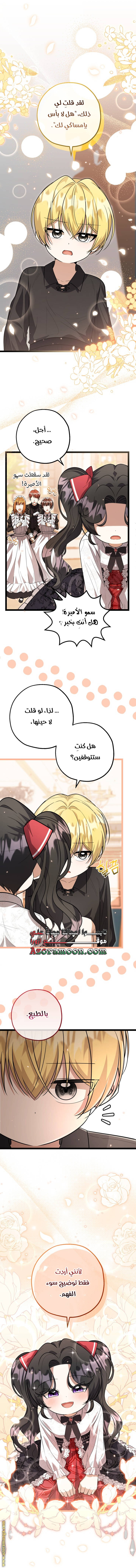 الصفحة 17