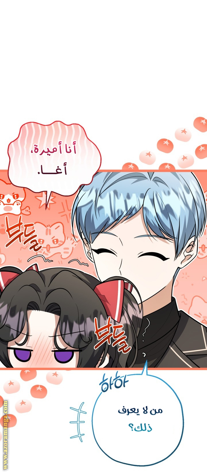 الصفحة 25