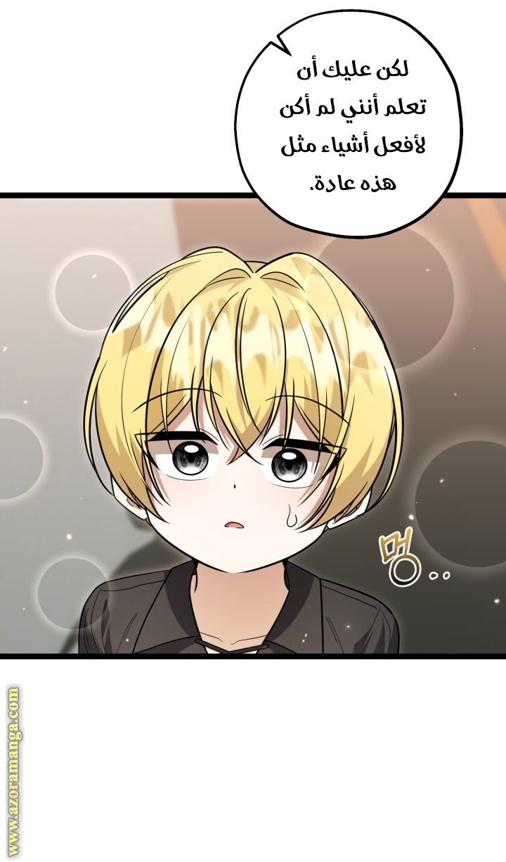 الصفحة 31