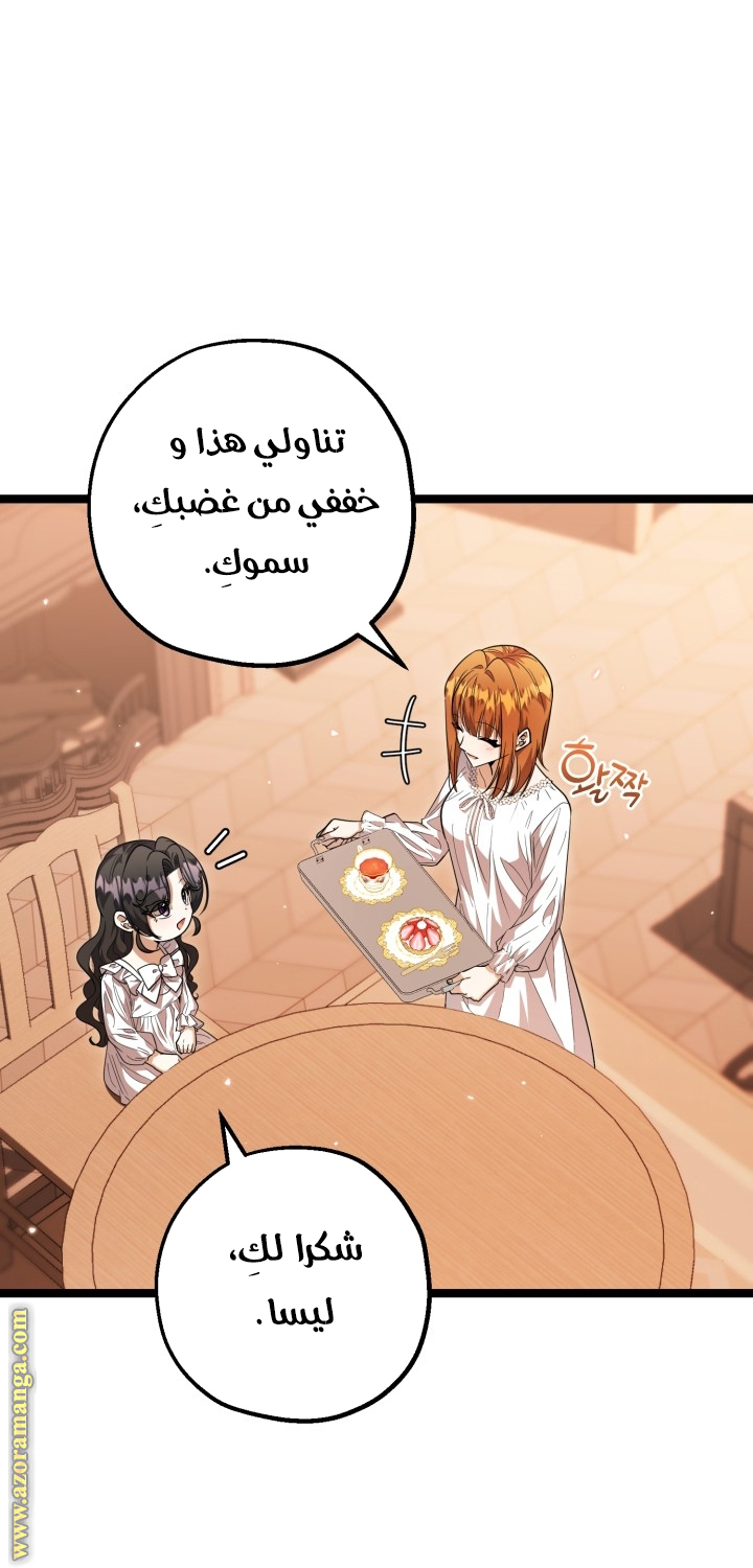 الصفحة 41