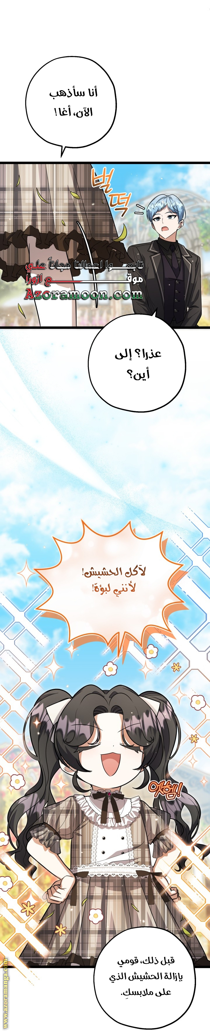 الصفحة 13