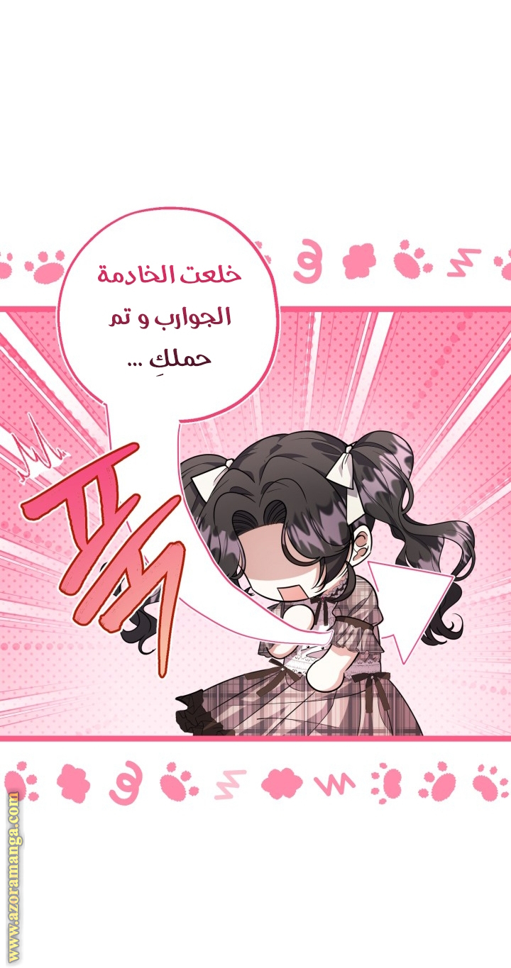 الصفحة 25