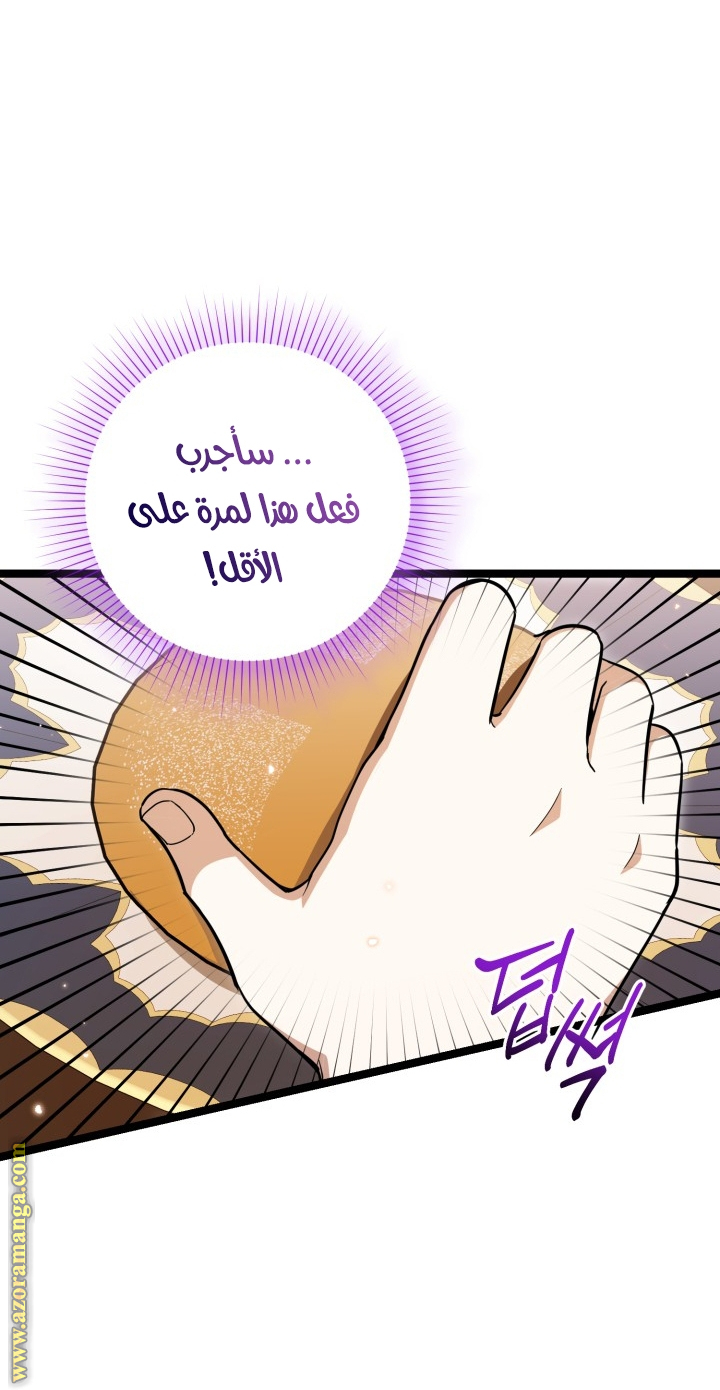 الصفحة 41