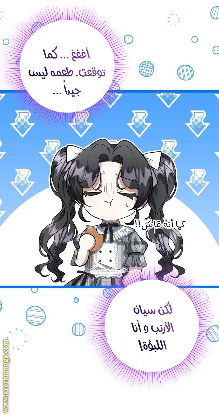 الصفحة 42