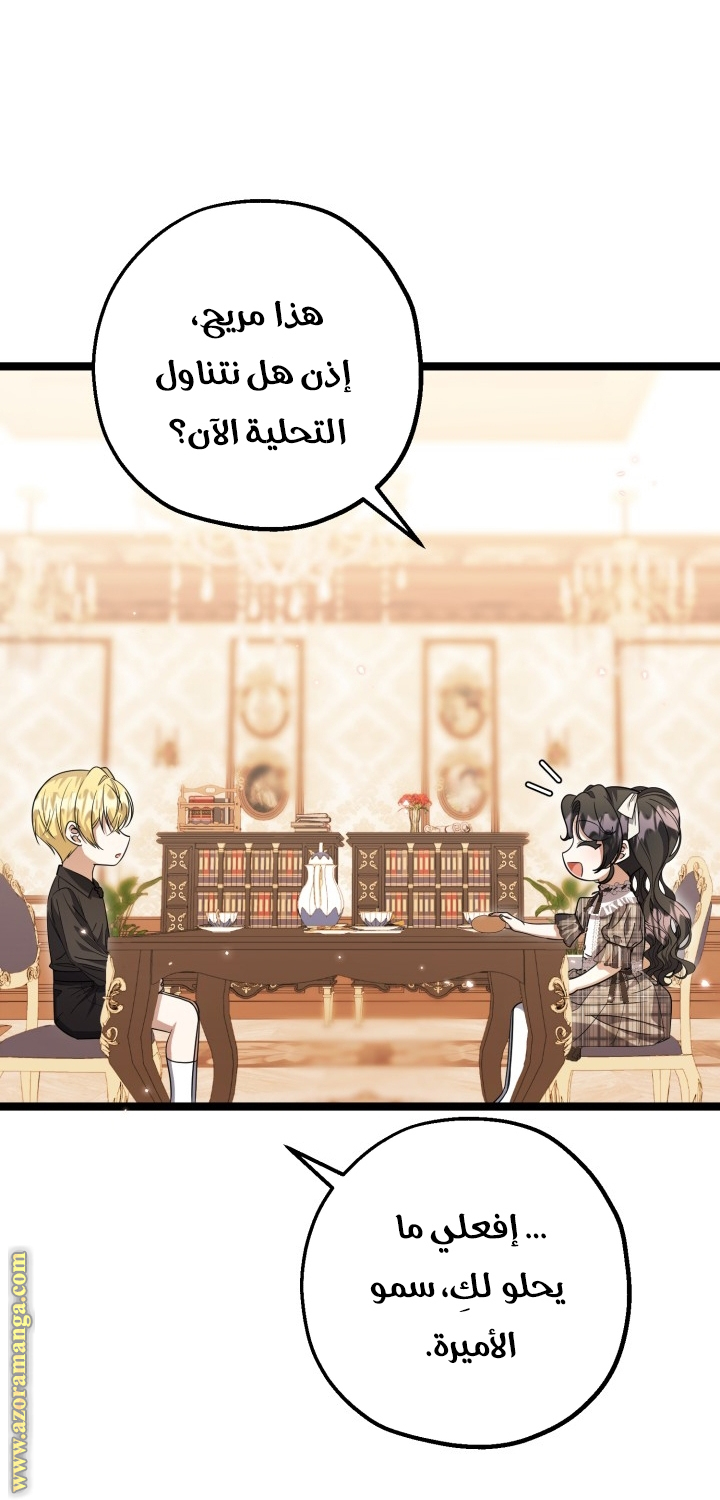 الصفحة 45