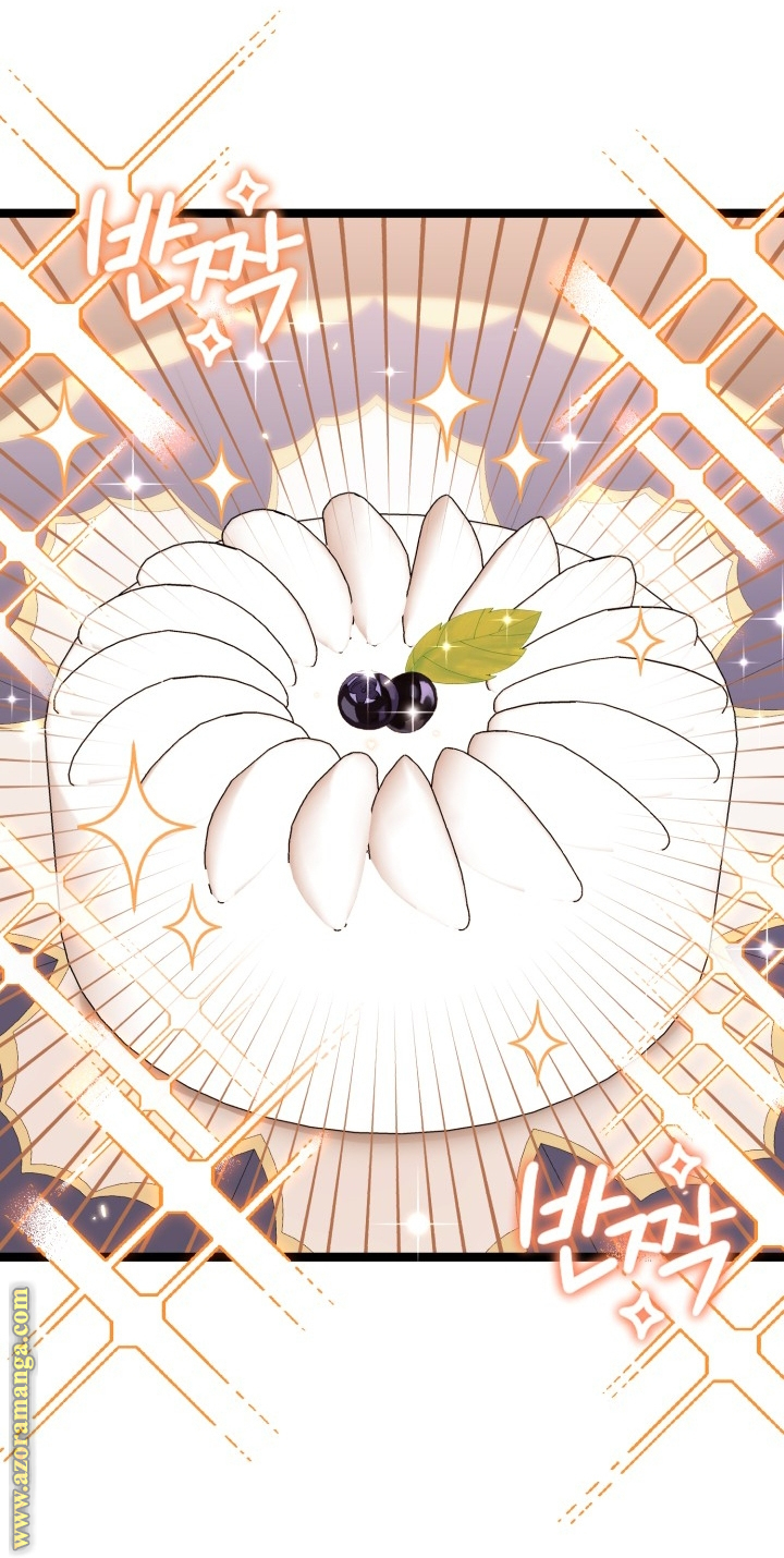 الصفحة 51