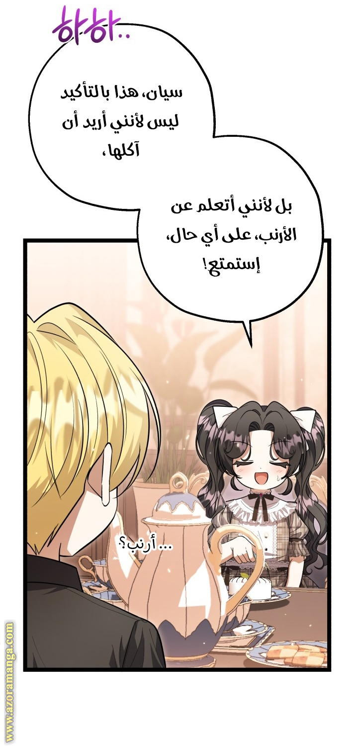 الصفحة 52