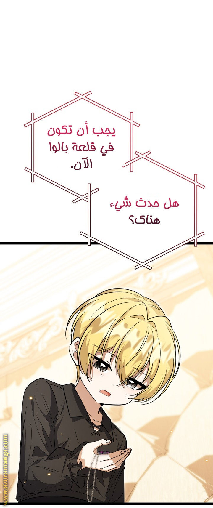 الصفحة 13