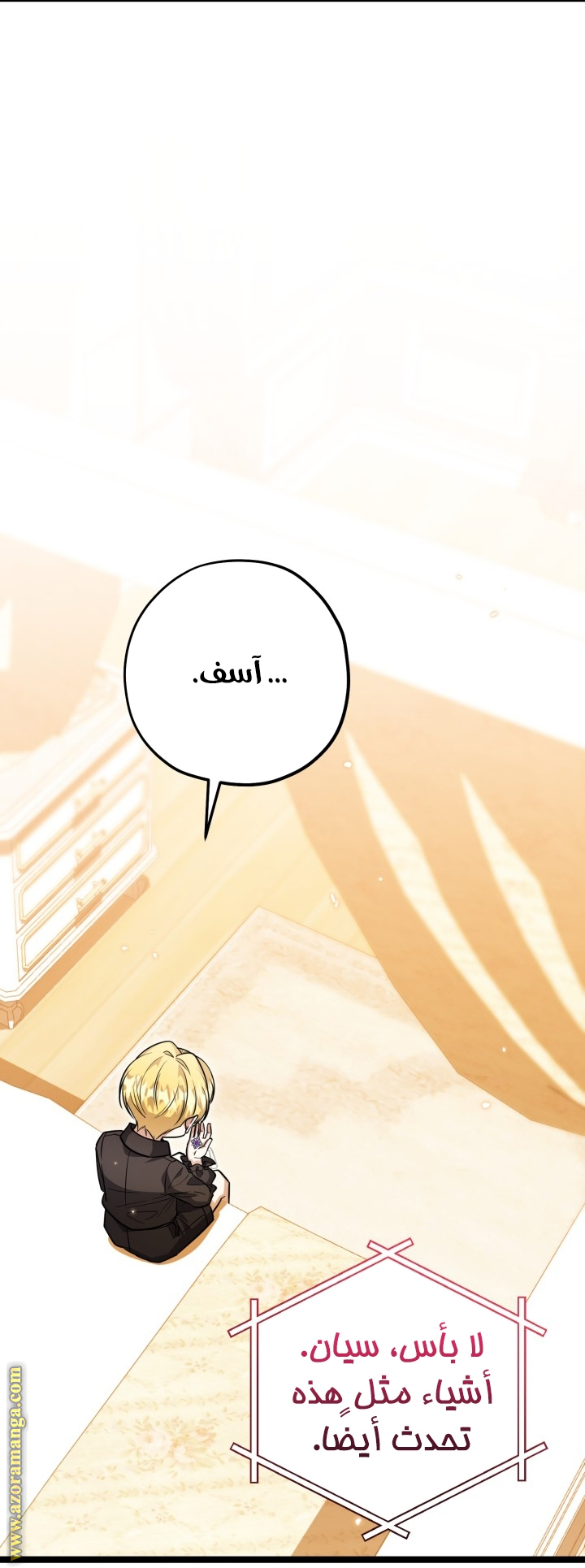 الصفحة 17