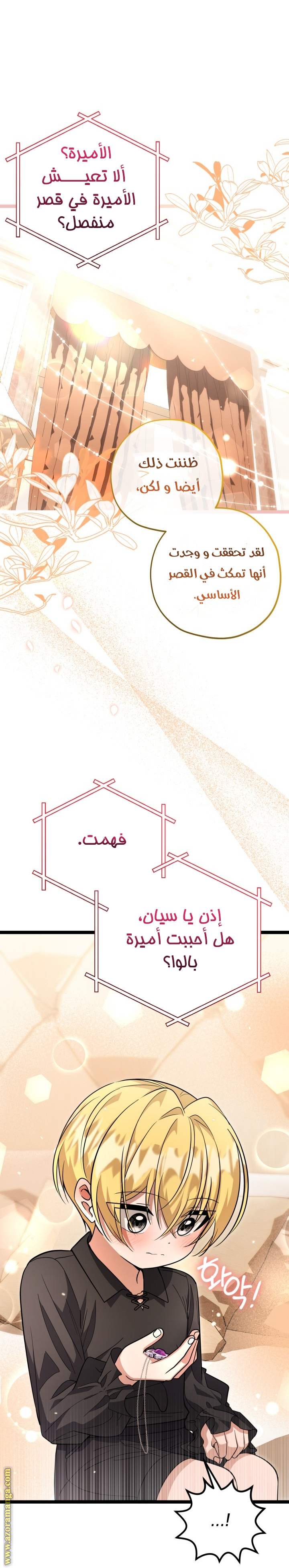 الصفحة 19
