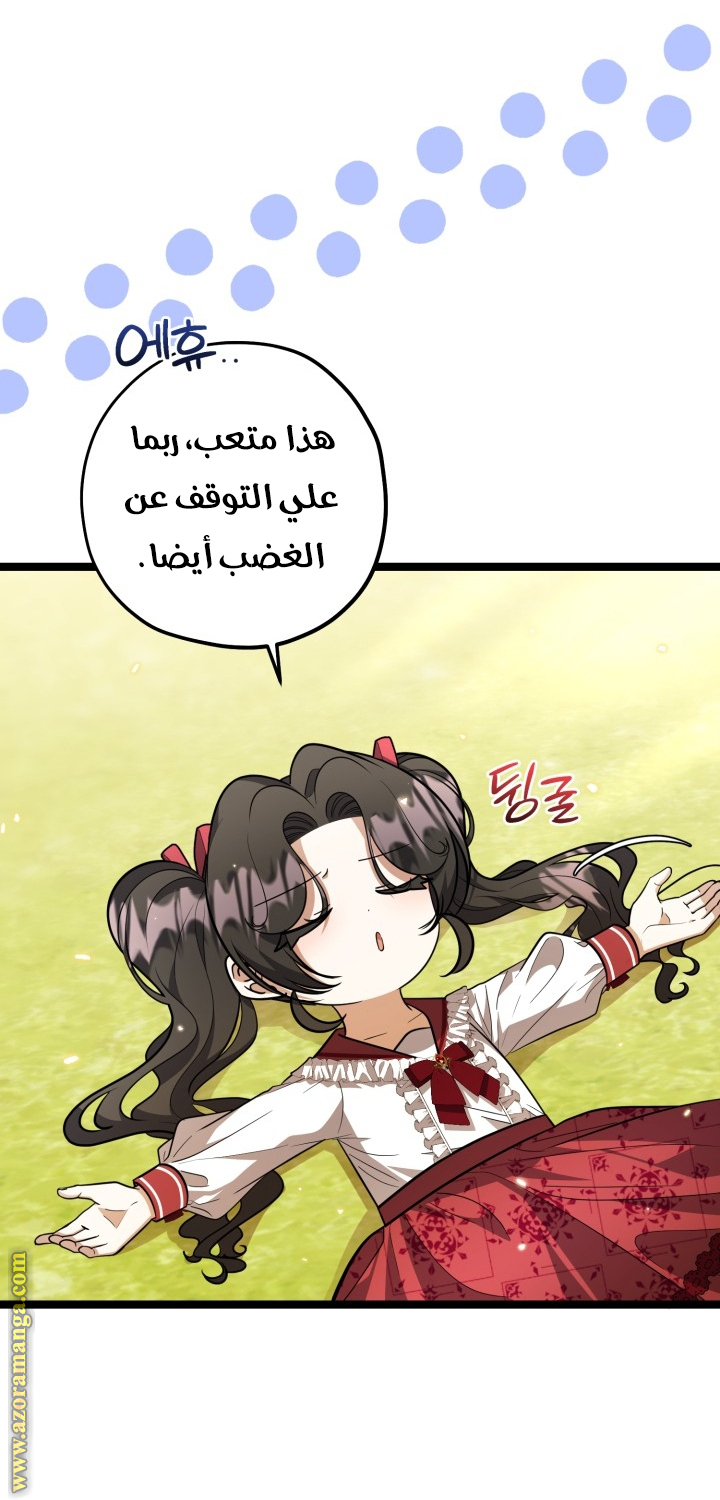الصفحة 27