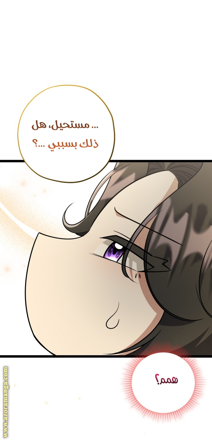 الصفحة 31