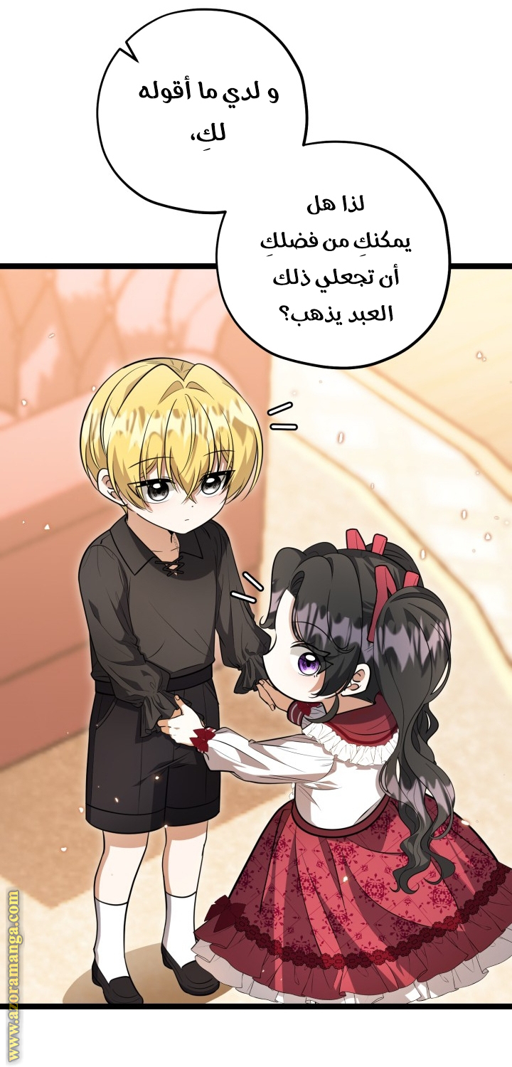 الصفحة 27