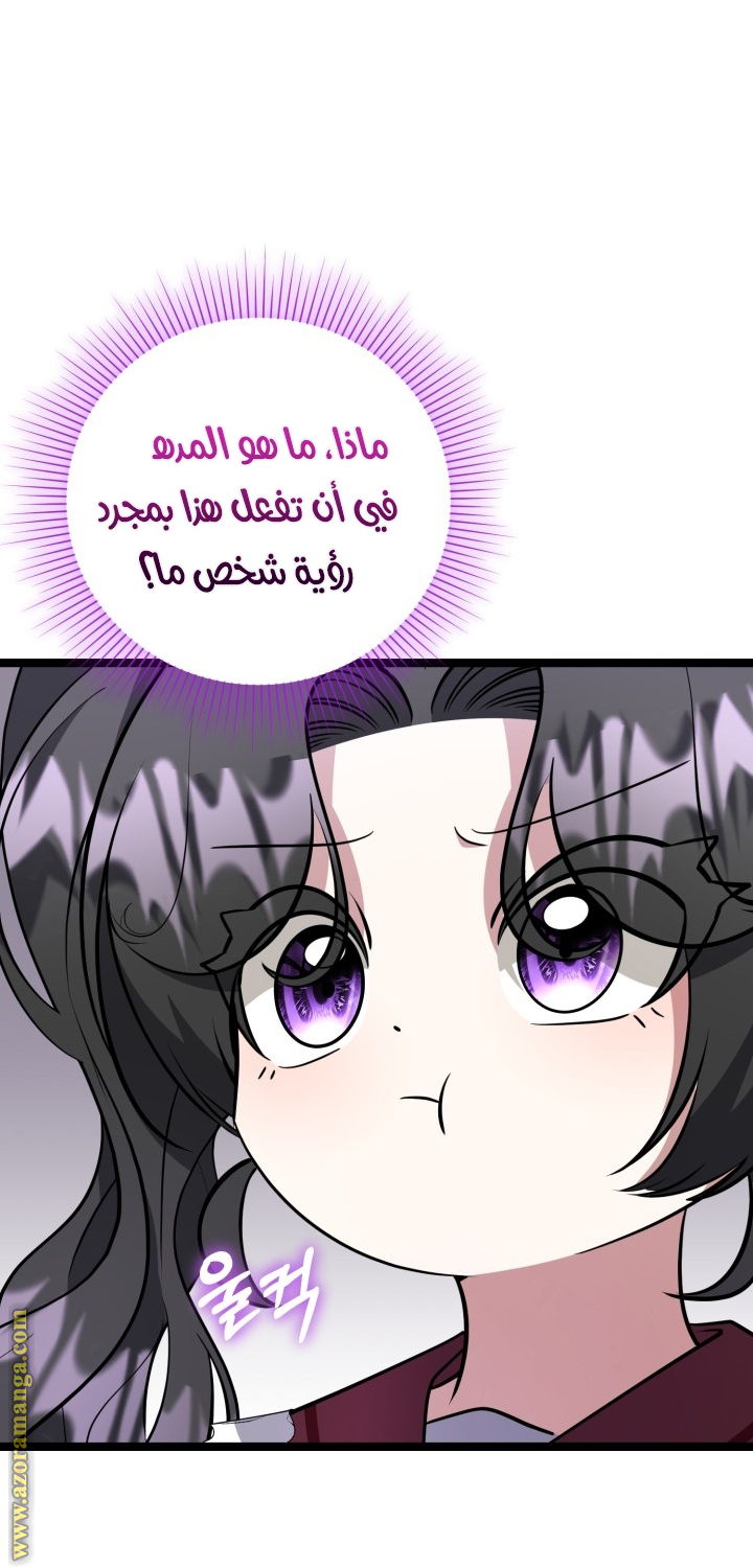 الصفحة 48
