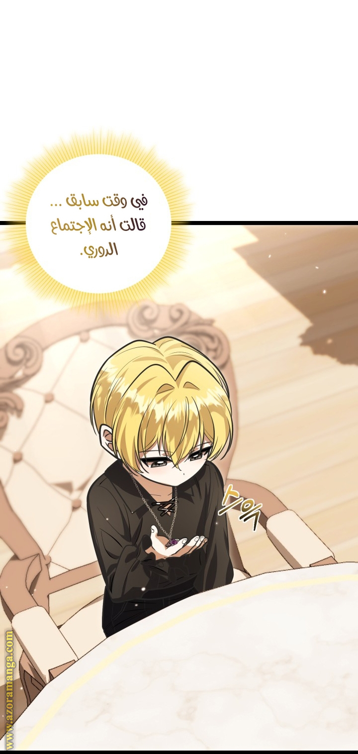 الصفحة 30