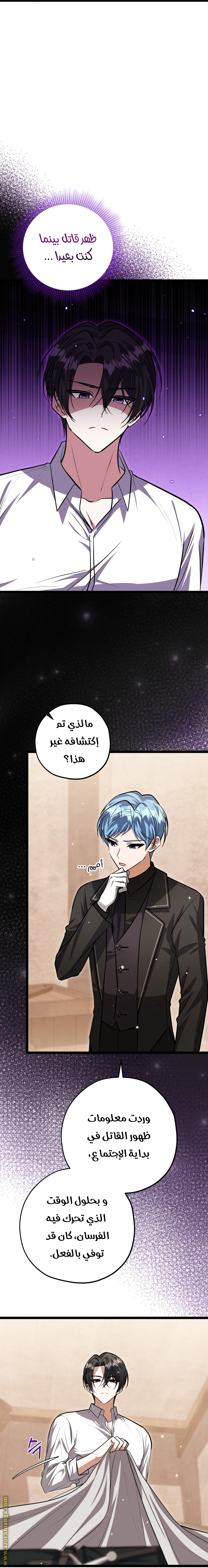 الصفحة 14