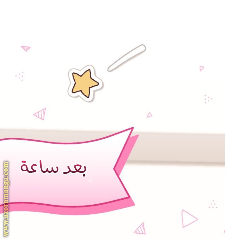 الصفحة 27